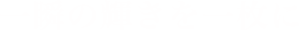 一瞬の輝きを一枚に